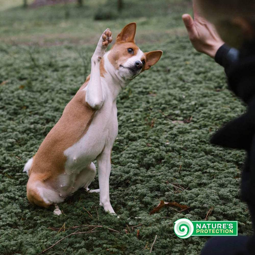 Nature's Protection Superior Pflege weiße Hunde Getreidefrei Weißfisch für Erwachsene Hunde kleinern und Mini-Rassen