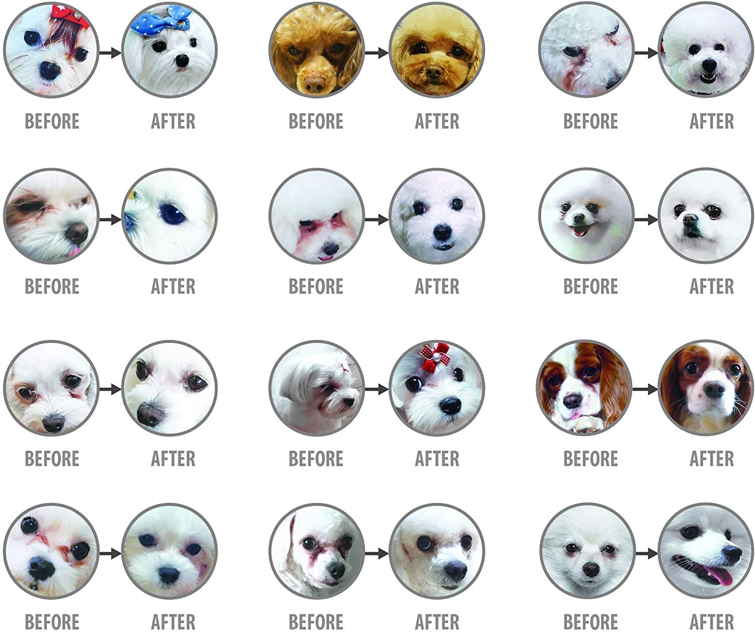 Nature's Protection Superior Care White Dogs Grain Free Salmon für junge Hunde aller Rassen