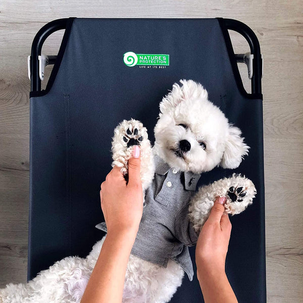 Nature's Protection Superior Care Hypoallergen Getreidefrei Lachs erwachsene Hunde allen Rassen