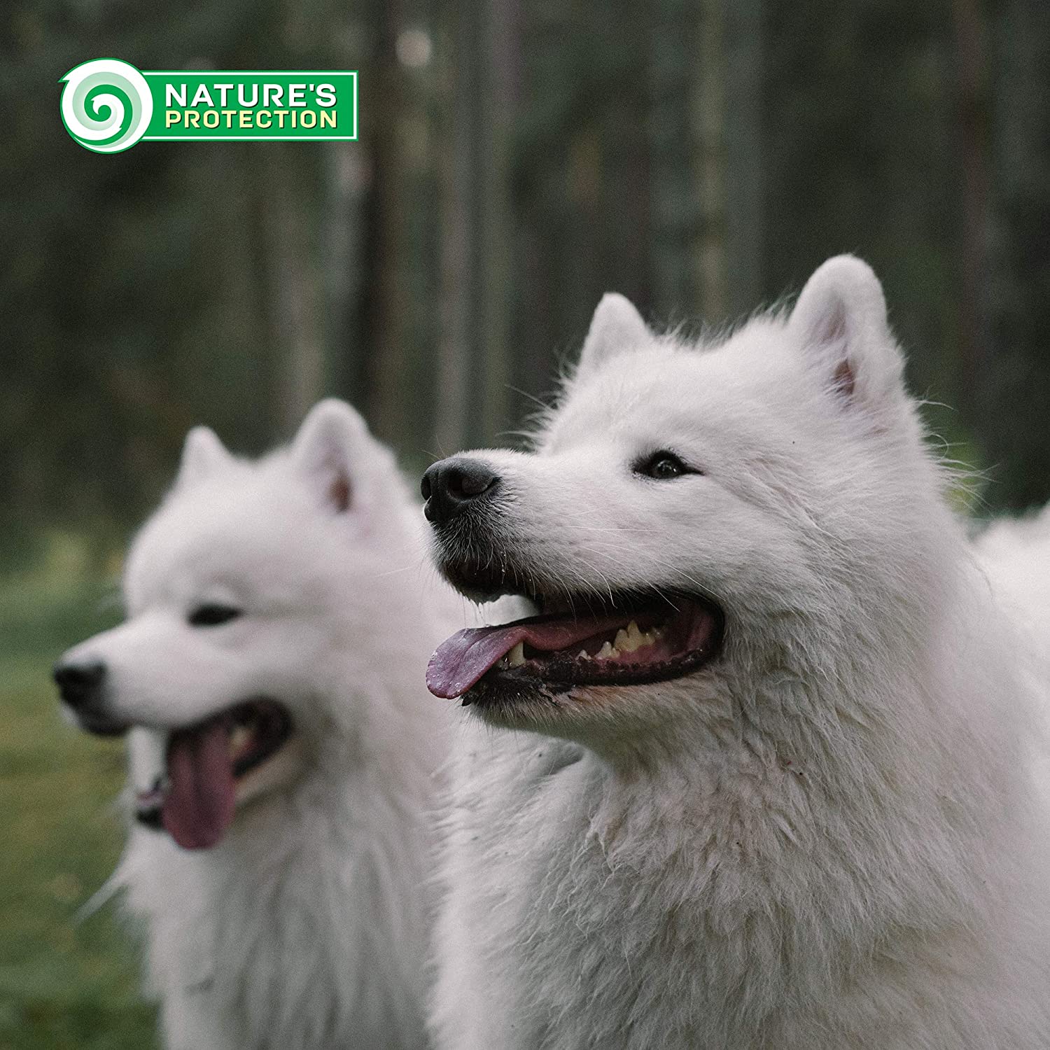 Nature's Protection Superior Care White Dogs Grain Free Salmon für junge Hunde aller Rassen