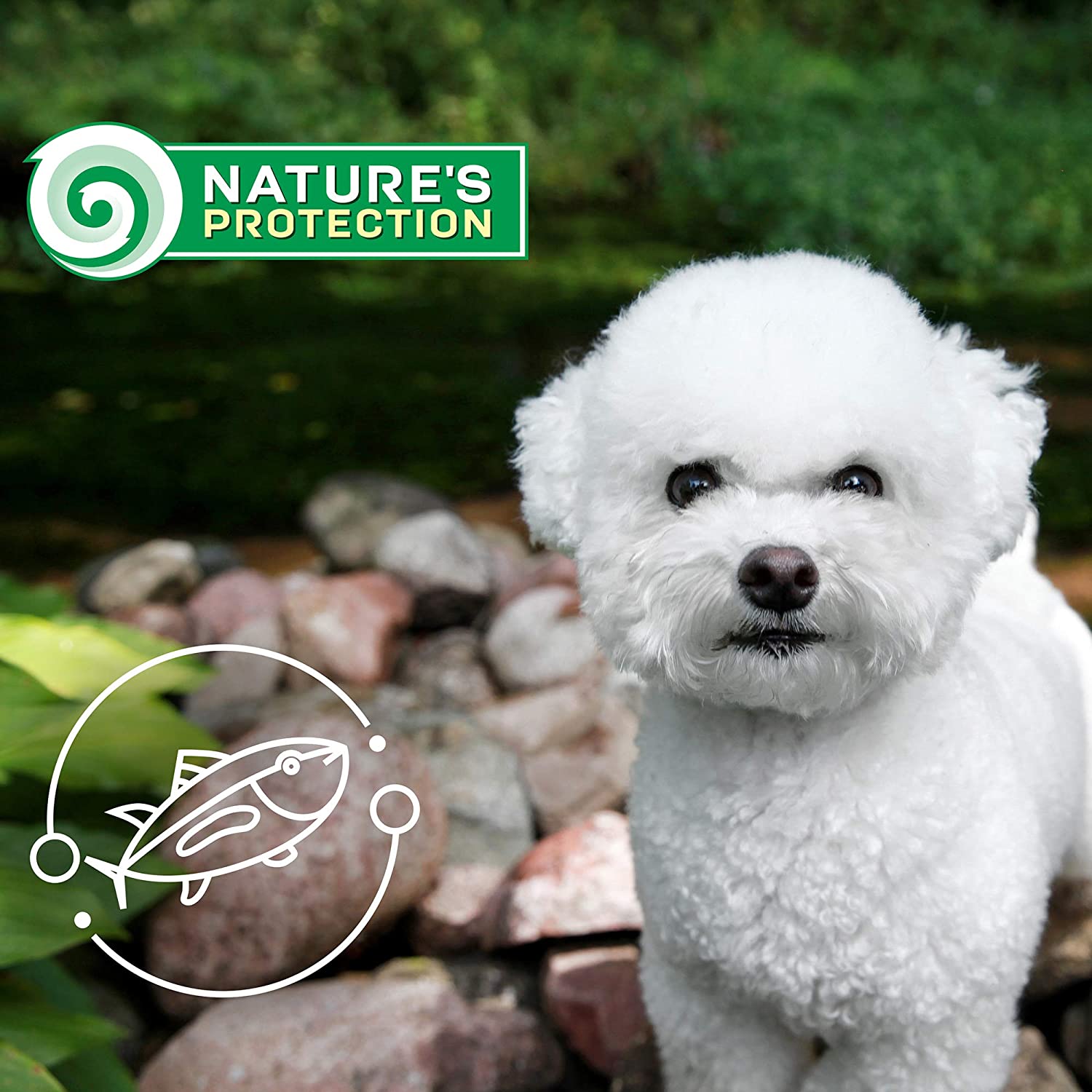 Nature's Protection Superior Pflege Weiße Hunde Getreidefrei Weißfisch Junior kleine und Mini-Rassen
